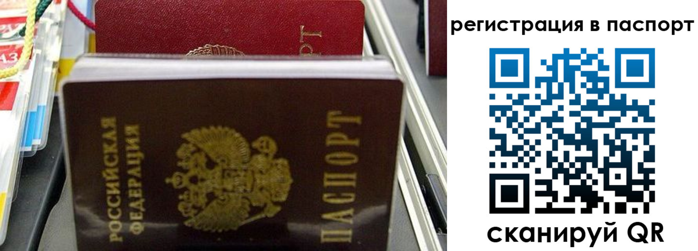 прописка для школы в Грязовце